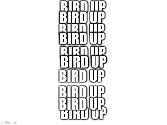 Blank White Template | BIRD UP BIRD UP BIRD UP BIRD UP BIRD UP BIRD UP BIRD UP BIRD UP BIRD UP BIRD UP BIRD UP | image tagged in blank white template | made w/ Imgflip meme maker