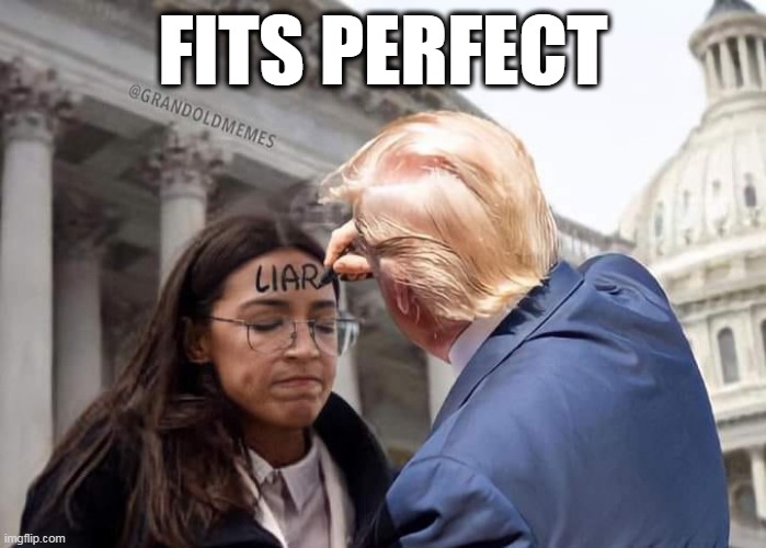 TRUMP | FITS PERFECT | image tagged in aoc,donald trump,liars | made w/ Imgflip meme maker