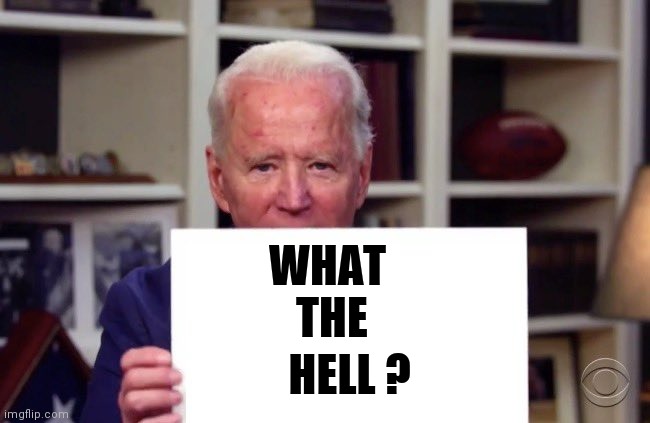 Biden holding sign (blank) | WHAT
    THE HELL ? | image tagged in biden holding sign blank | made w/ Imgflip meme maker