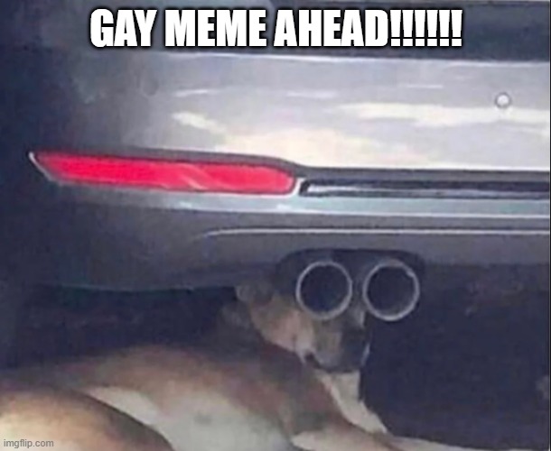 Target Acquired | GAY MEME AHEAD!!!!!! | image tagged in target acquired | made w/ Imgflip meme maker