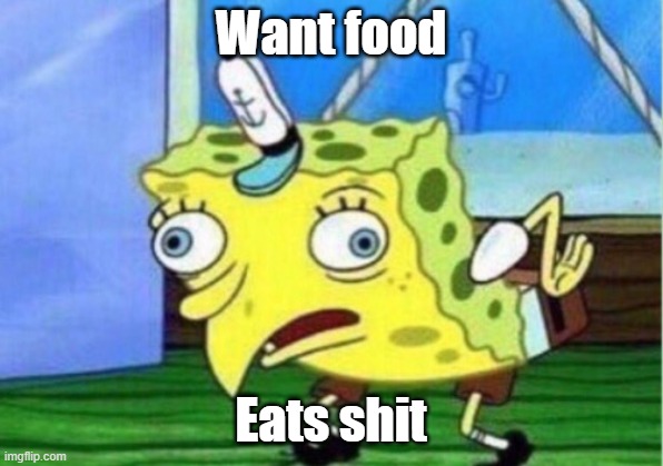 Why | Want food; Eats shit | image tagged in memes,mocking spongebob | made w/ Imgflip meme maker