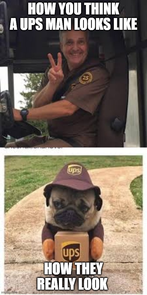 UPS MAN | HOW YOU THINK A UPS MAN LOOKS LIKE; HOW THEY REALLY LOOK | image tagged in dogs | made w/ Imgflip meme maker