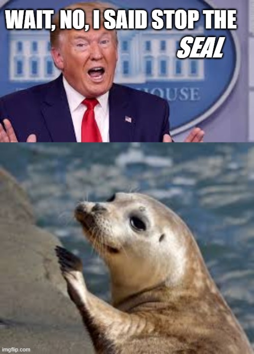 Heard ya wrong | WAIT, NO, I SAID STOP THE; SEAL | image tagged in seal,trump,what | made w/ Imgflip meme maker