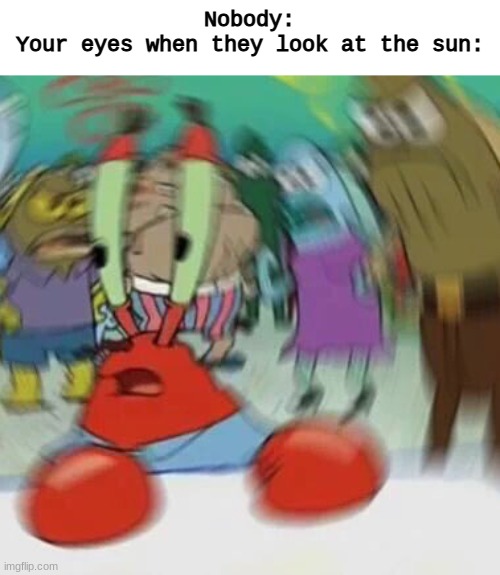 shook | Nobody:
Your eyes when they look at the sun: | image tagged in shook | made w/ Imgflip meme maker