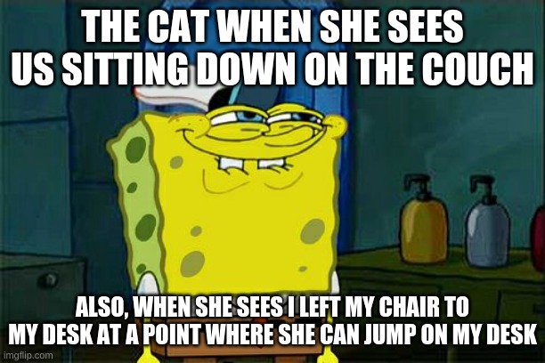 Don't You Squidward Meme | THE CAT WHEN SHE SEES US SITTING DOWN ON THE COUCH; ALSO, WHEN SHE SEES I LEFT MY CHAIR TO MY DESK AT A POINT WHERE SHE CAN JUMP ON MY DESK | image tagged in memes,cats | made w/ Imgflip meme maker