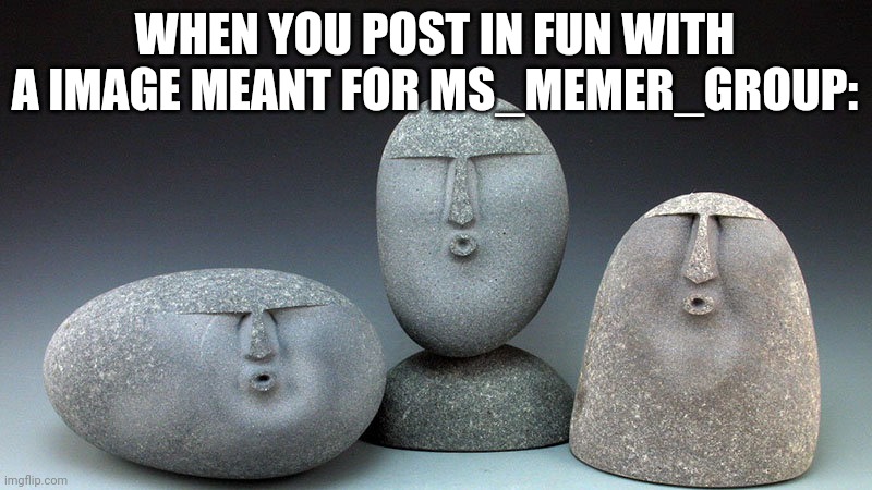 Oof size | WHEN YOU POST IN FUN WITH A IMAGE MEANT FOR MS_MEMER_GROUP: | image tagged in oof stones | made w/ Imgflip meme maker