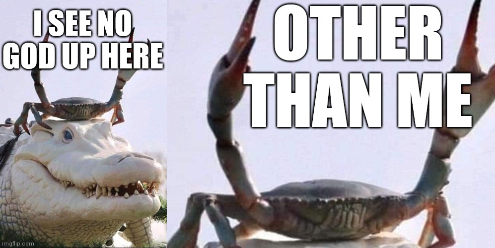 I see no god up here other than me | OTHER THAN ME; I SEE NO GOD UP HERE | image tagged in i see no god up here other than me,crab,crocodile,meme,animals,funny animals | made w/ Imgflip meme maker
