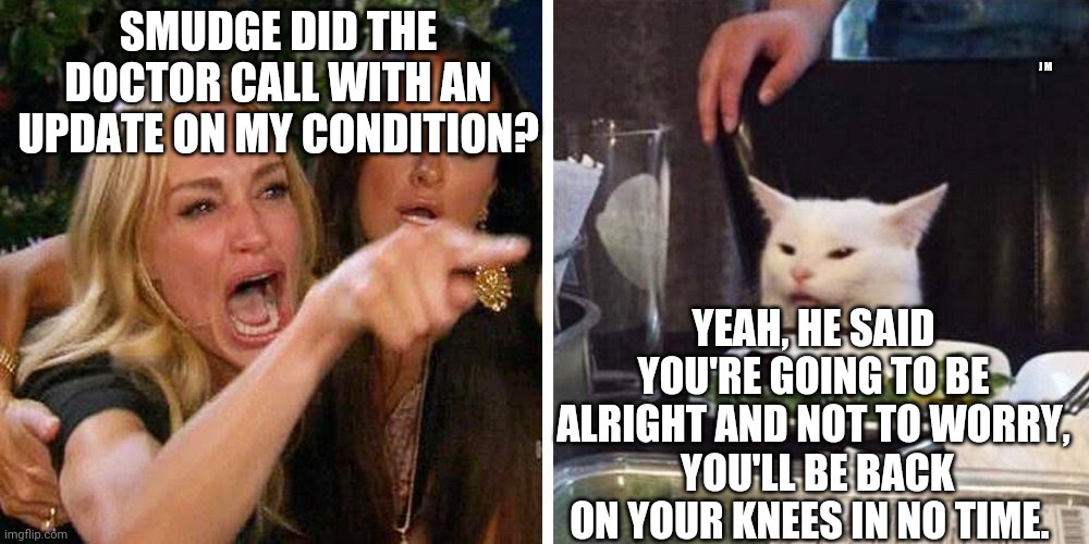 Smudge the cat | J M; SMUDGE DID THE DOCTOR CALL WITH AN UPDATE ON MY CONDITION? YEAH, HE SAID YOU'RE GOING TO BE ALRIGHT AND NOT TO WORRY,  YOU'LL BE BACK ON YOUR KNEES IN NO TIME. | image tagged in smudge the cat | made w/ Imgflip meme maker