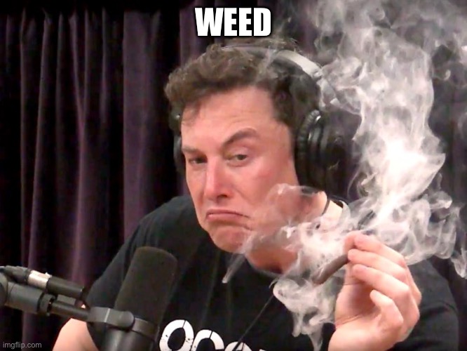 Elon Musk Weed | WEED | image tagged in elon musk weed | made w/ Imgflip meme maker
