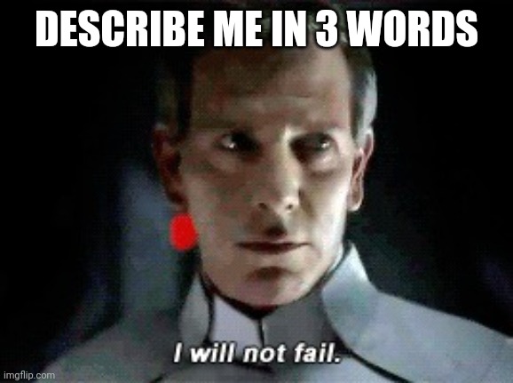 I will not fail | DESCRIBE ME IN 3 WORDS | image tagged in i will not fail | made w/ Imgflip meme maker