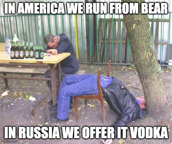 beer bear | IN AMERICA WE RUN FROM BEAR; IN RUSSIA WE OFFER IT VODKA | image tagged in drunk russian | made w/ Imgflip meme maker