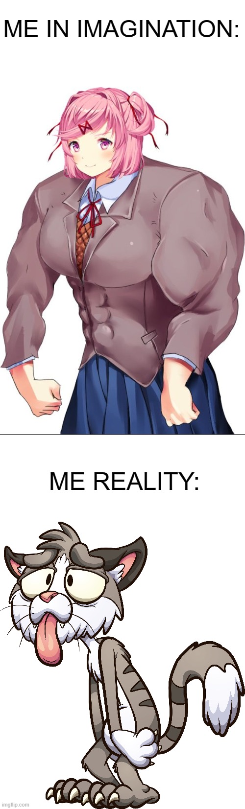 imagiantion VS reality |  ME IN IMAGINATION:; ME REALITY: | image tagged in buffsuki,ddlc,skinny,imagination,reality,memes | made w/ Imgflip meme maker