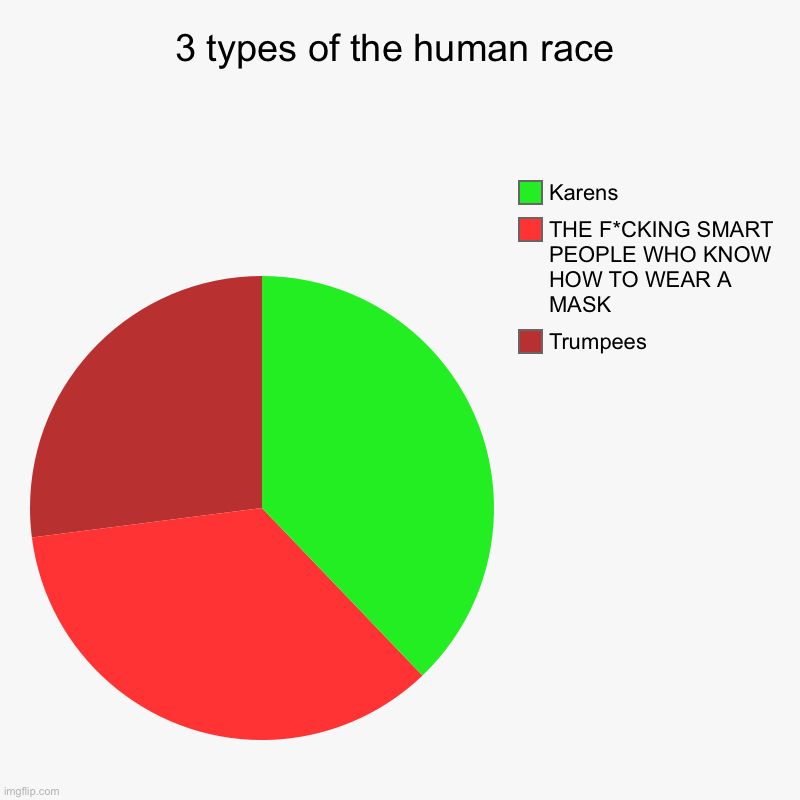 3 types of the human race | Trumpees, THE F*CKING SMART PEOPLE WHO KNOW HOW TO WEAR A MASK, Karens | image tagged in charts,pie charts | made w/ Imgflip chart maker