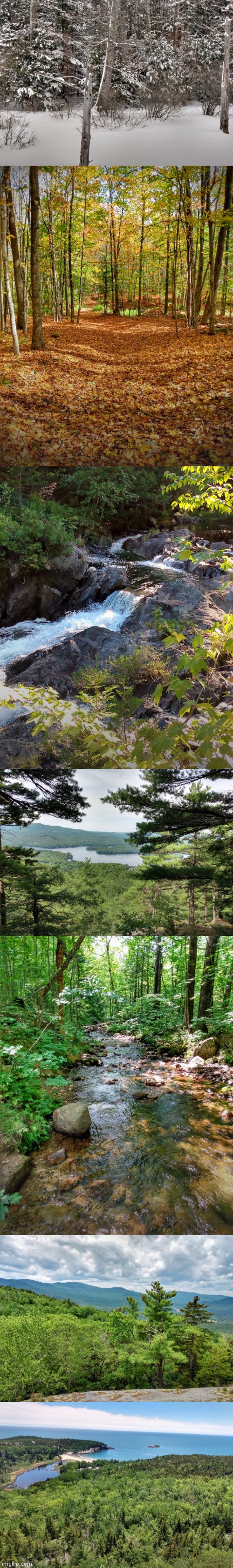 image tagged in old photos | made w/ Imgflip meme maker