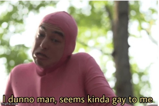I dunno man seems kinda gay to me | image tagged in i dunno man seems kinda gay to me | made w/ Imgflip meme maker