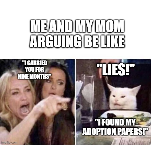 Real housewives screaming cat | ME AND MY MOM ARGUING BE LIKE; "I CARRIED YOU FOR NINE MONTHS"; "LIES!"; "I FOUND MY ADOPTION PAPERS!" | image tagged in real housewives screaming cat | made w/ Imgflip meme maker
