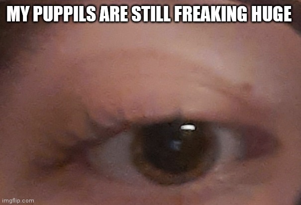 MY PUPPILS ARE STILL FREAKING HUGE | made w/ Imgflip meme maker