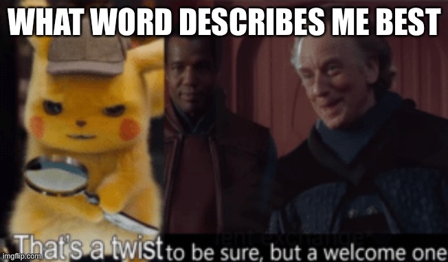 Thats a twist be sure, but a welcome one | WHAT WORD DESCRIBES ME BEST | image tagged in thats a twist be sure but a welcome one | made w/ Imgflip meme maker