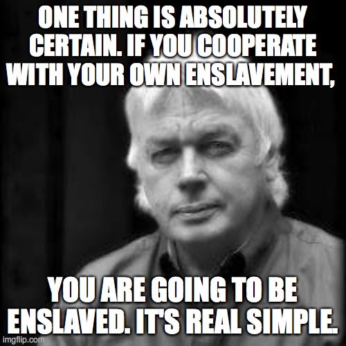 Slavery | ONE THING IS ABSOLUTELY CERTAIN. IF YOU COOPERATE WITH YOUR OWN ENSLAVEMENT, YOU ARE GOING TO BE ENSLAVED. IT'S REAL SIMPLE. | image tagged in david icke | made w/ Imgflip meme maker