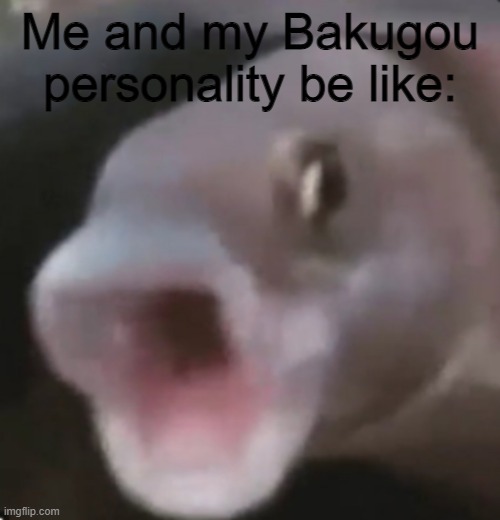 Aqua's personality? Bakugou. | Me and my Bakugou personality be like: | image tagged in poggers fish,anime | made w/ Imgflip meme maker