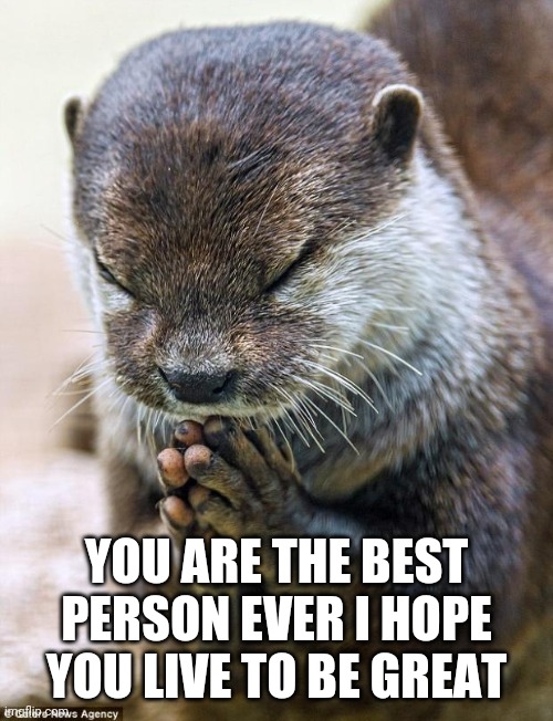 <3 | YOU ARE THE BEST PERSON EVER I HOPE YOU LIVE TO BE GREAT | image tagged in thank you lord otter,raycat,otter,wholesome | made w/ Imgflip meme maker