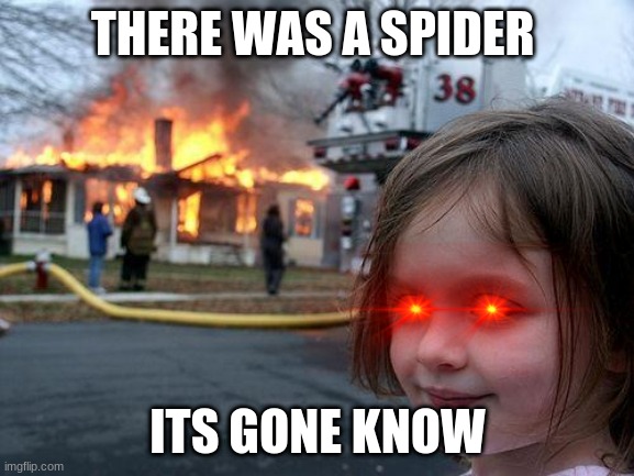 Disaster Girl Meme | THERE WAS A SPIDER; ITS GONE KNOW | image tagged in memes,disaster girl | made w/ Imgflip meme maker