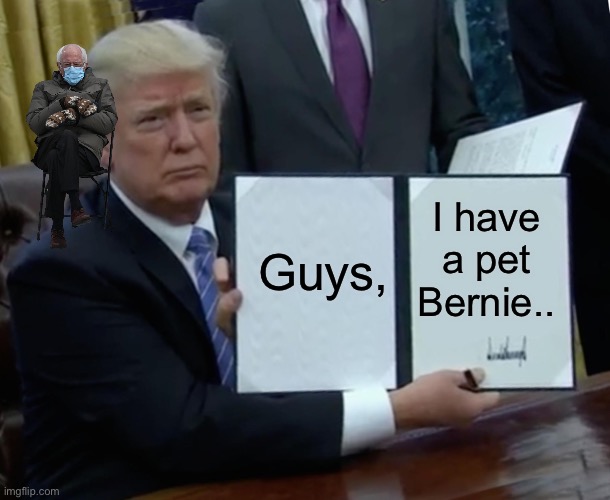Trump Bill Signing | Guys, I have a pet Bernie.. | image tagged in memes,trump bill signing | made w/ Imgflip meme maker