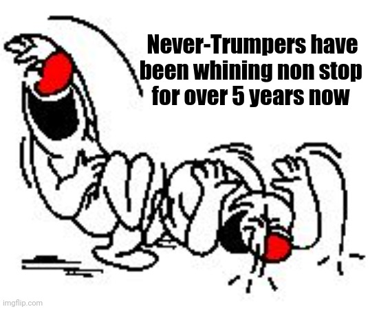 LOL Hysterically | Never-Trumpers have  
been whining non stop 
for over 5 years now | image tagged in lol hysterically | made w/ Imgflip meme maker