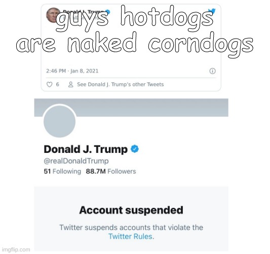 Trump Twitter Account Suspended | guys hotdogs are naked corndogs | image tagged in trump twitter account suspended | made w/ Imgflip meme maker