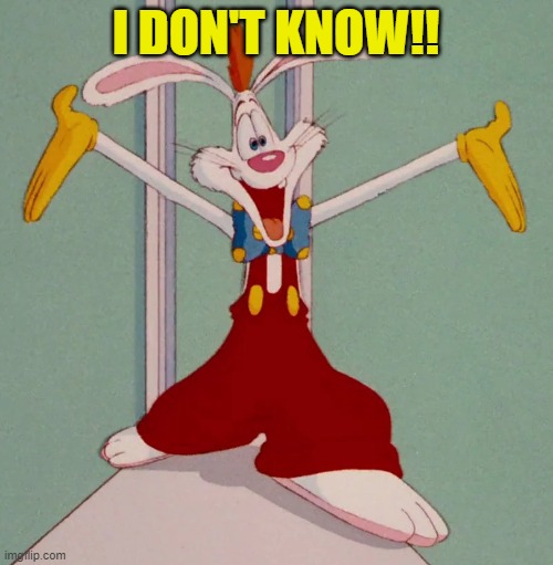I DON'T KNOW!! | image tagged in roger rabbit | made w/ Imgflip meme maker