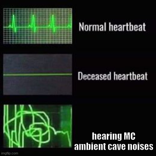 heartbeat rate | hearing MC ambient cave noises | image tagged in heartbeat rate | made w/ Imgflip meme maker