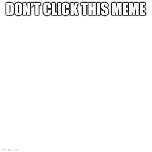 BLANK | DON’T CLICK THIS MEME | image tagged in blank | made w/ Imgflip meme maker