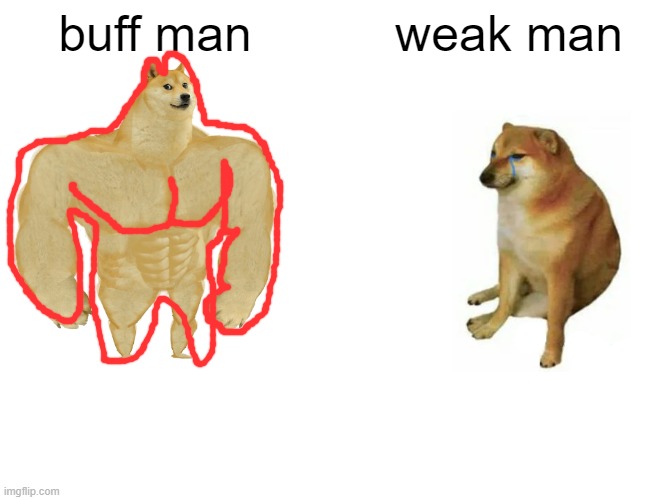 buff man vs. weak cheems | buff man; weak man | image tagged in memes,buff doge vs cheems | made w/ Imgflip meme maker