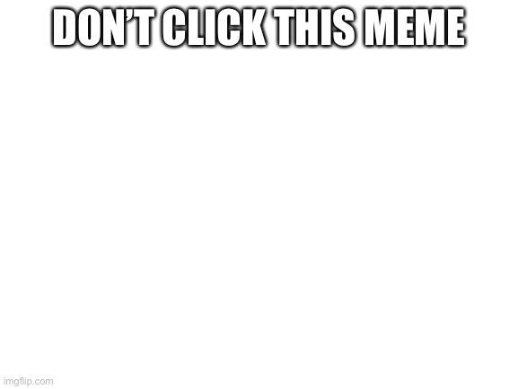 Blank White Template | DON’T CLICK THIS MEME | image tagged in blank white template | made w/ Imgflip meme maker