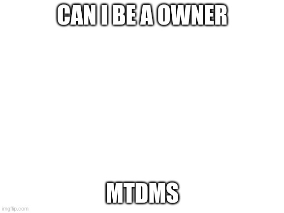 Blank White Template | CAN I BE A OWNER; MTDMS | image tagged in blank white template | made w/ Imgflip meme maker