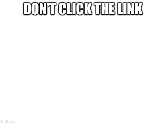 Blank White Template | DON’T CLICK THE LINK | image tagged in blank white template | made w/ Imgflip meme maker