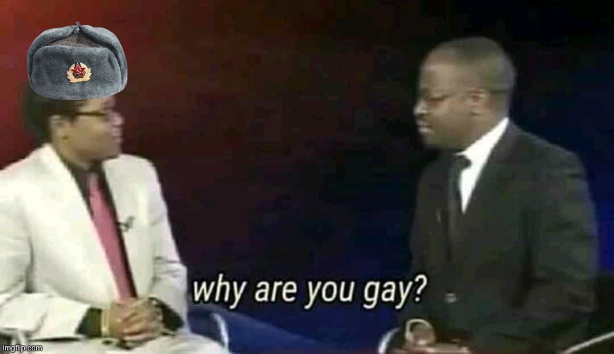 Why are you gay? | image tagged in why are you gay | made w/ Imgflip meme maker