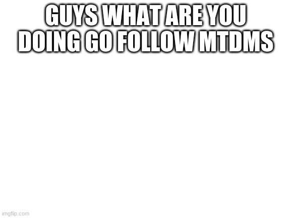 Blank White Template | GUYS WHAT ARE YOU DOING GO FOLLOW MTDMS | image tagged in blank white template | made w/ Imgflip meme maker