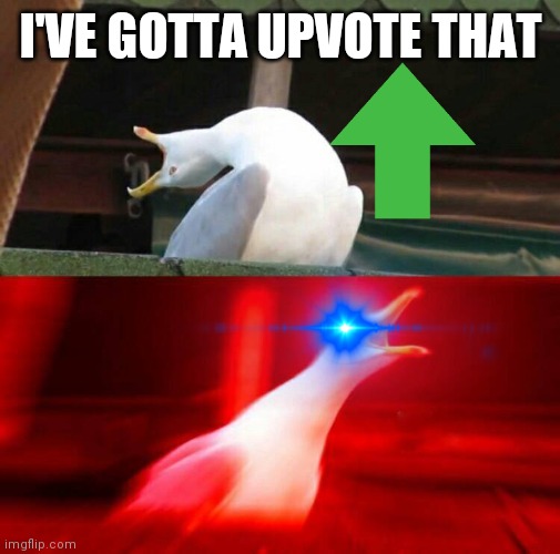 Inhaling Seagull  | I'VE GOTTA UPVOTE THAT | image tagged in inhaling seagull | made w/ Imgflip meme maker