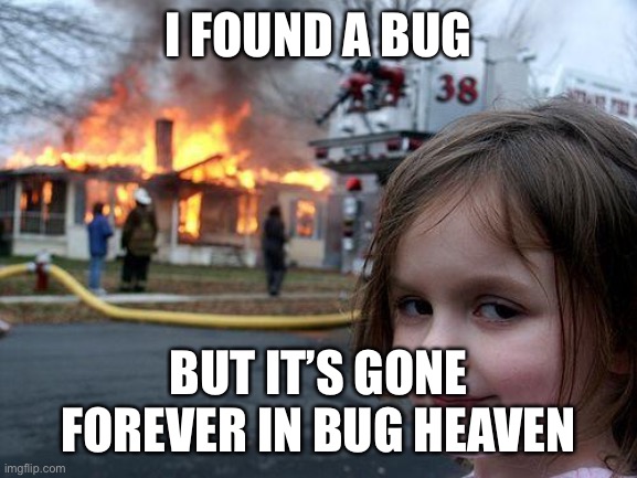 Disaster Girl | I FOUND A BUG; BUT IT’S GONE FOREVER IN BUG HEAVEN | image tagged in memes,disaster girl | made w/ Imgflip meme maker