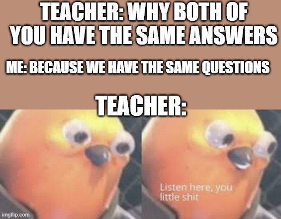 Listen here you little shit bird | TEACHER: WHY BOTH OF YOU HAVE THE SAME ANSWERS; ME: BECAUSE WE HAVE THE SAME QUESTIONS; TEACHER: | image tagged in listen here you little shit bird | made w/ Imgflip meme maker