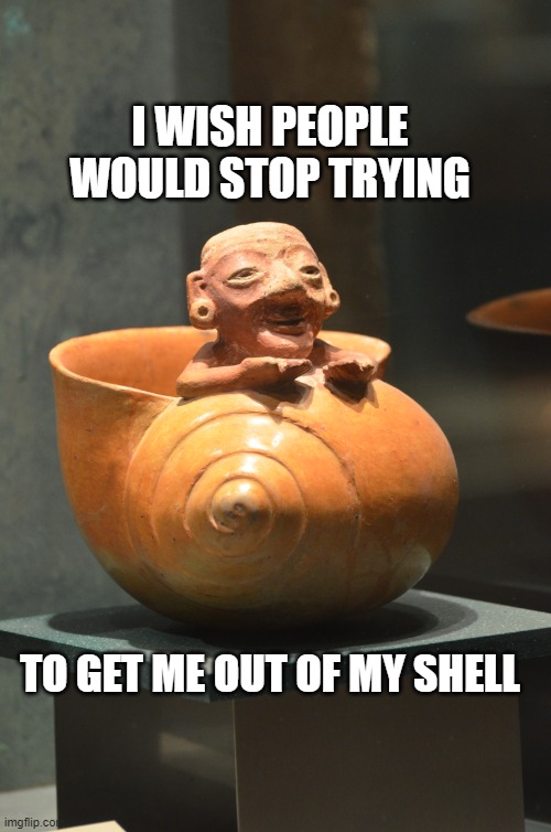 Coming out of my shell | I WISH PEOPLE WOULD STOP TRYING; TO GET ME OUT OF MY SHELL | image tagged in funny,funny memes,shyness,lol so funny | made w/ Imgflip meme maker