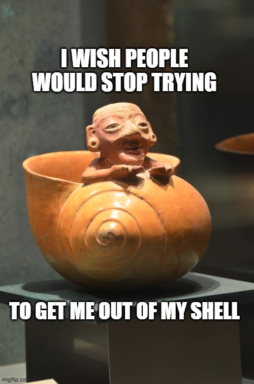 shell meme