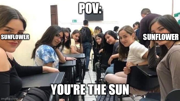 Idk a name for this | POV:; SUNFLOWER; SUNFLOWER; YOU'RE THE SUN | image tagged in everyone looking at you | made w/ Imgflip meme maker