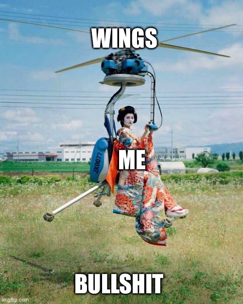 You already lost the game | WINGS; ME; BULLSHIT | image tagged in first world problems | made w/ Imgflip meme maker