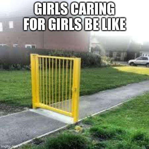 Useless Gate | GIRLS CARING FOR GIRLS BE LIKE | image tagged in useless gate | made w/ Imgflip meme maker