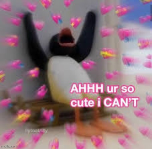 ✨wholesome✨ | made w/ Imgflip meme maker