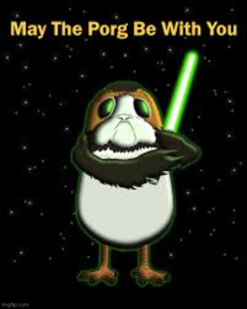 ah yes, my favorite jedi | image tagged in porg,star wars | made w/ Imgflip meme maker