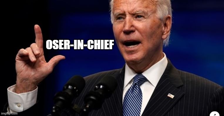 We're already losing | OSER-IN-CHIEF | image tagged in loser,biden | made w/ Imgflip meme maker