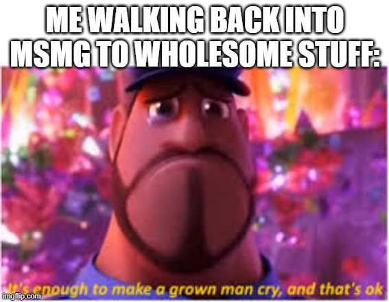its enough to make a grown man cry, and thats ok | ME WALKING BACK INTO MSMG TO WHOLESOME STUFF: | image tagged in its enough to make a grown man cry and thats ok | made w/ Imgflip meme maker